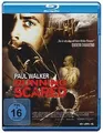 Running Scared [Blu-ray] von Wayne Kramer | DVD | Zustand sehr gut