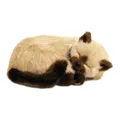 Perfect Petzzz 92578 Siam-Kätzchen