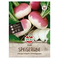 Sperli Gemüsesamen, Speiserübe 'Plessis'