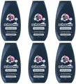 6x Schauma Pflege Shampoo Silberglanz Anti Gelbstich für graues,blondiertes Haar