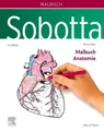 Sobotta Malbuch Anatomie