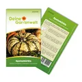 Kürbis Sweet Dumpling Samen - Cucurbita pepo - Kürbissamen - Gemüsesamen