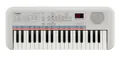 Hochwertiges Kinder Keyboard mit Minitastatur, Quiz-Funktion, 30 Songs & Effekte