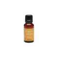 PROPOLIS TROPFEN ohne Alkohol 20 ml