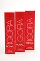 Schwarzkopf Igora Royal 5-4 60ml 3er Pack (3x60ml)