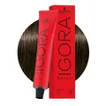 Schwarzkopf Igora Royal 5-1  Cendrè Hellbraun 60ml - Permanente Färbung