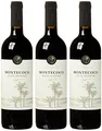 Cantine Due Palme Salice Salentino - Montecoco DOP - Negroamaro & Malvasia Nera (3 x 0.75 l)