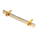 Musiclily Pro 45mm Messing Gitarre Saitenniederhalter String Retainer Bar String Trees für Floyd Rose Tremolo System E-Gitarre, Gold