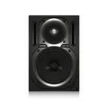 Behringer B 2030A TRUTH