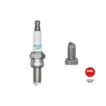 Zündkerze NGK 7784 für BMW CITROËN PEUGEOT SUZUKI PIAGGIO KAWASAKI MINI APRILIA