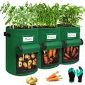Airminti 3-Pack 10 Gallonen Kartoffel Pflanzsack, Pflanzbeutel mit Stabilen Griffen und Visualized Flap, Verdickte und Atmungsaktive Vliestöpfe mit Gartenhandschuhe für Tomaten, Kartoffeln