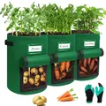 3Pack 10 Gallonen Kartoffel Pflanzsack, Pflanzbeutel mit Stabilen Griffen und...