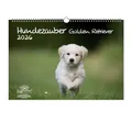 Seelenzauber Wandkalender Hundezauber Golden Retriever DIN A3 Kalender für 2026 Welpen Hunde