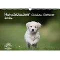 Hundezauber Golden Retriever DIN A3 Kalender für 2026 Welpen und Hunde - Seelenz