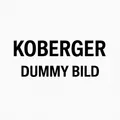 3338023 KYB Stoßdämpfer Excel-G