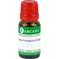 ARCANA Dr. Sewerin GmbH & Co.KG Arzneimittel-Herstellung NATRIUM MURIATICUM LM 24 Dilution 10 ml