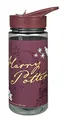 Scooli Trinkflasche Harry Potter - Trinkflasche für Kinder mit Motiv - Wasserflasche aus Kunststoff BPA frei - ca. 500ml Fassungsvermögen - integrierter Strohhalm - ideal für Kindergarten und Schule