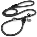lionto Retrieverleine, sicher, stylisch & vegan, mit Zugbegrenzung & Stopper für sanftes Hundetraining, 170 cm, schwarz