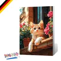 Malen nach Zahlen Set mit Rahmen - Katze und Tiere - Leinwand 20x30 cm