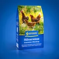 Kiepenkerl Hühnerwiese 1081500 - Grünfutter Mischung aus nahrhaften Gräsern, Kräutern und Leguminosen - Blumenwiese, Hühnerwiese, Hühnernahrung, Saatgut