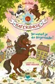 Kinderbuch Die Haferhorde - Da wiehert ja der Bürgermeister! Band 23 der lustigen Suza Kolb