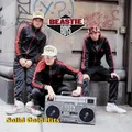 Beastie Boys Solid Gold Hits (CD) Album
