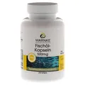 Fischöl Kapseln 500 mg 250 St