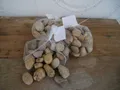 3 Kilo Flusssteine Dekosteine Zierkies Flusskiesel creme 3-6 cm inkl. Versandk.