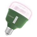 Osram HOMELIGHTING 4058075845800 Pflanzenlampe E27 20 W 1 St. (LED, 220 V) (4058075845800)