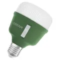 OSRAM 4058075845800 Grow light E-27 20 W 1 pc(s)