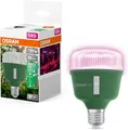 Osram LED Pflanzenlampe Grow Lamp Star T80 20W Klar E27 Weiß Pflanzenlicht