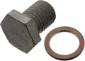 Ölablassschraube mit Dichtring M12 x 1,5 20 mm