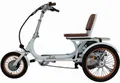 ElektroBest.de E-Bike Orthopädisches Dreirad Therapeutisches E-Dreirad KiKi Alu Klapprad Rückwardagang Differential, 21 Gang, Elektromotor, Orthopädisches Dreirad