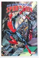 Die Spektakulären Spider-Men 1 - Doppelt hält besser  SC Marvel Comic