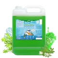 Belissia Slush Eis Sirup 5 Liter Konzentrat | Waldmeister Geschmack | sehr ergiebig in knalligen Farben (1:5) für bis zu 30 Liter | Glycerin frei – für Slush-Eis - Maschinen & Wassereis