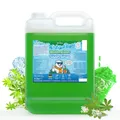 Belissia Slush Eis Sirup 5L Konzentrat - Waldmeister - für Slush-Eis & Wasserei