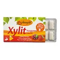 Birkengold - Kaugummi Frucht 12 Stück - 17 g - 24er Pack