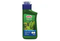 Substral Spezialdünger Thuja-Vital Koniferen Grün, Flüssigdünger Konzentrat, 500 ml