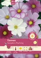 Cosmea Sensation-Mischung Samen von Pabst Keimkraft