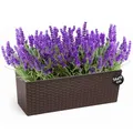 KONZEPT Hochwertige Blumenkasten Rattan-Optik in Braun, rechteckig 56 x 19 cm, Balkonkasten ideal fur Balkon, Terrasse, Fensterbank