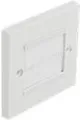 DeLOCK Cable Management Cover 86 x 86 mm with white Brush Strips - Abdeckung Kabel-Aufbewahrungspaneel - geeignet für Wandmontage - weiß
