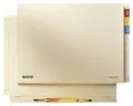 LEITZ Einstellhefter Orgacolor, A4, chamois