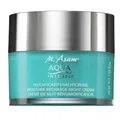 (EUR 599,00 / L) M.Asam Aqua Intense Feuchtigkeitsnachtcreme Hyaluron Nachtcreme
