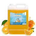 Belissia Slush Eis Sirup 5L Konzentrat | Orange Geschmack | sehr ergiebig in knalligen Farben (1:5) für bis zu 30 Liter | Glycerin frei – für Slush-Eis - Maschinen & Wassereis
