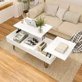 GUNUSS Couchtisch höhenverstellbarer Wohnzimmertisch 100 *50*45cm Ablagefach Sofatisch Kaffeetisch Ausziehbare Tischplatte - Weiß