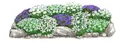 Dehner Bio Stauden-Set Alpengarten, je 3x Grasnelke weiß / Teppich-Glockenblume / Heide-Nelke Albus / Alpen-Edelweiß, mehrjährige Gartenstauden, je 5-20 cm, Ø Topf je 9 cm, blau / weiß