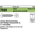 Blechschraube Din 7981 Liko M.kreuzschlitz-ph C3,9 X 6,5-h Stahl Galvanisch Verzinkt M.spitze