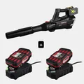 PARKSIDE PERFORMANCE® 40V Akku-Laubbläser PPTLBA 40-Li C3 mit 2 Akku & Ladegerät