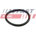 FAST Dichtring, Kühlmittelrohrleitung ft49919 für Mercedes