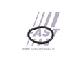 FT49919 FAST Dichtring, Kühlmittelschlauch für MERCEDES-BENZ